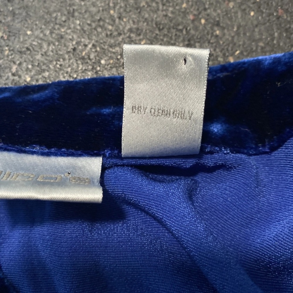 Vtg Chicos Velvet Top Women 3/XL Boho Sapphire Blue Embroidered Chic Blouse Silk - Picture 11 of 12